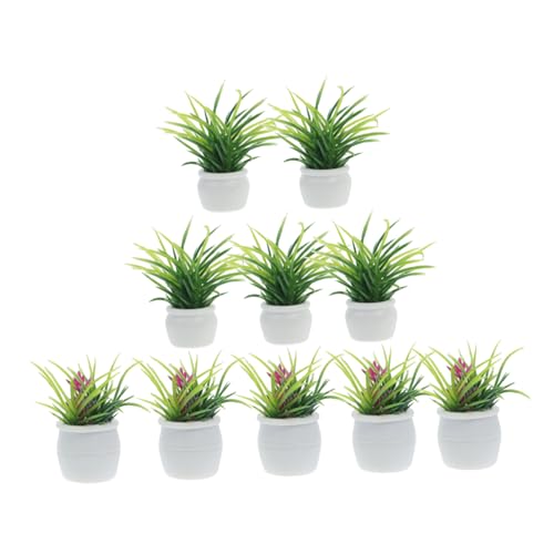 Warmhm 10 Stück Puppenhaus Miniatur Bonsai Pflanze Simulation Blumentopf Puppenhaus Dekoration Miniaturen Im Innenbereich Kleine Dekorationen Für Miniatur Puppenhaus Dekoration Warmhm 10 Stück Puppenhaus Miniatur Bonsai Pflanze Simulation Blumentopf Puppenhaus Dekoration Miniaturen Im Innenbereich Kleine Dekorationen Für Miniatur Puppenhaus Dekoration von Warmhm