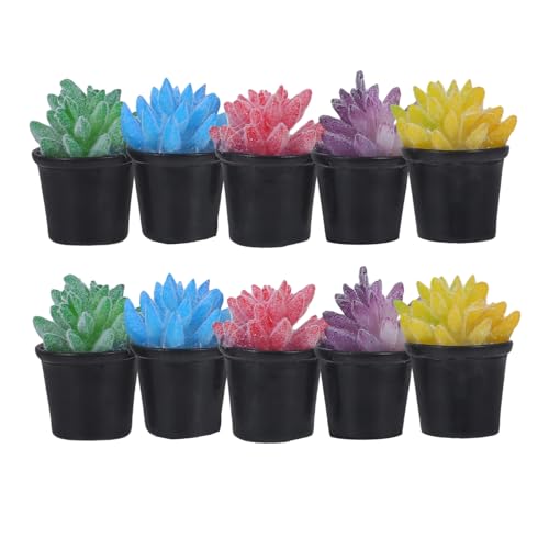 Warmhm 10 Stück Puppenhauspflanzen Zimmerpflanzen Für Draußen Mini Blumen Gärten Pflanzenornament Figuren Set Künstliche Simulation Echter Weinreben Regal Pflanzenständer Bäume Warmhm 10 Stück Puppenhauspflanzen Zimmerpflanzen Für Draußen Mini Blumen Gärten Pflanzenornament Figuren Set Künstliche Simulation Echter Weinreben Regal Pflanzenständer Bäume von Warmhm