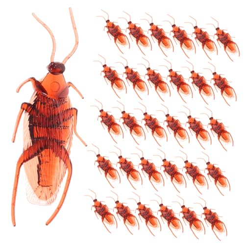 Warmhm 100 Stück Realistische Fake Kakerlaken für Halloween Hochwertige Plastik Requisiten für Partys Lifelike Prank Deko für Aprilscherz und Halloween Feierlichkeiten Warmhm 100 Stück Realistische Fake Kakerlaken für Halloween Hochwertige Plastik Requisiten für Partys Lifelike Prank Deko für Aprilscherz und Halloween Feierlichkeiten von Warmhm