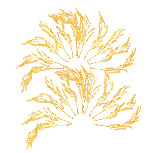 Warmhm 100 Stück Reismodell Getrocknete Weizenhalme Getrocknete Herbstblumen Künstliche Rohrkolben Maisstängel Weizenstiele Simulierte Weizenähren Heuhaufen Für Die Veranda von Warmhm