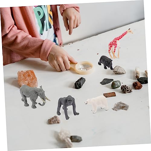 Warmhm 12 Stück Teiliges Waldtier Figuren Realistische Tierfiguren für Spielzeugläden Zuhause Büro und Dekoration für Deko Projekte Sicher und Langlebig Warmhm 12 Stück Teiliges Waldtier Figuren Realistische Tierfiguren für Spielzeugläden Zuhause Büro und Dekoration für Deko Projekte Sicher und Langlebig von Warmhm