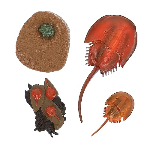 Warmhm 1Satz Mini Simulation Meerestiere Figuren Für Pädagogisches Dekoration Kreatives Für Jungen Warmhm 1Satz Mini Simulation Meerestiere Figuren Für Pädagogisches Dekoration Kreatives Für Jungen von Warmhm