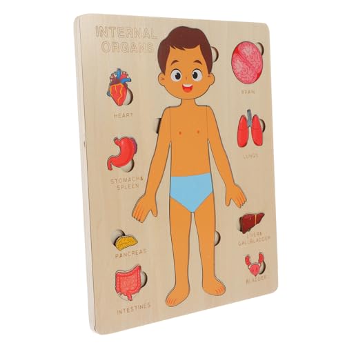 Warmhm 1Satz Puzzlespielzeug für Kleinkinder Anatomisches Menschenkörper Puzzle aus Holz Fördert Frühkindliche Bildung und Hand Auge Koordination für Kindergarten und Zuhause von Warmhm