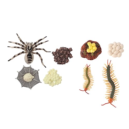 Warmhm 2 Sätze Tierische Lebenszyklus Modelle Tarantel und Tausendfüßler Lernspielzeug Kognitive Bildungsdekoration Naturwissenschaftliche Lernhilfe Warmhm 2 Sätze Tierische Lebenszyklus Modelle Tarantel und Tausendfüßler Lernspielzeug Kognitive Bildungsdekoration Naturwissenschaftliche Lernhilfe von Warmhm