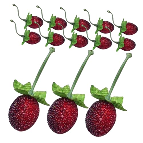 Warmhm Einzigartige Gefälschte Himbeer-Requisiten 20 Stück Simulations-Obst- Geburtstagsparty-Dekoration Realistische Plastik-Obst-heimdekoration von Warmhm