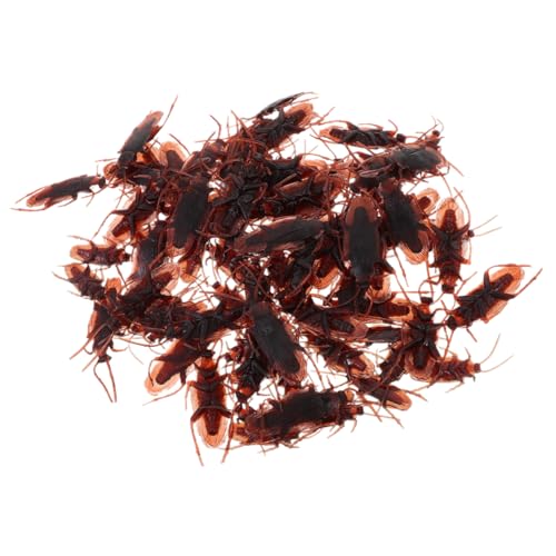 Warmhm 20 Stück Simulation Kakerlake realistisch Party-Requisite simulierte Fälschung gefälscht dupes Ohrringe Party assecoires Trickspiel-Requisite beängstigend Plastik Coffee Warmhm 20 Stück Simulation Kakerlake realistisch Party-Requisite simulierte Fälschung gefälscht dupes Ohrringe Party assecoires Trickspiel-Requisite beängstigend Plastik Coffee von Warmhm