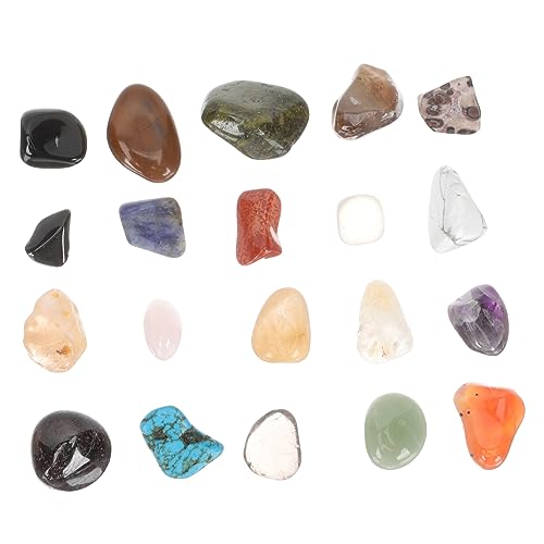 Warmhm 20 Stück Teiliges Polierte Steine und Aufbewahrungsbox Naturkunde für Tumbled Gems für Bildung und Kreativität für Schulprojekte und Sammlungen Warmhm 20 Stück Teiliges Polierte Steine und Aufbewahrungsbox Naturkunde für Tumbled Gems für Bildung und Kreativität für Schulprojekte und Sammlungen von Warmhm
