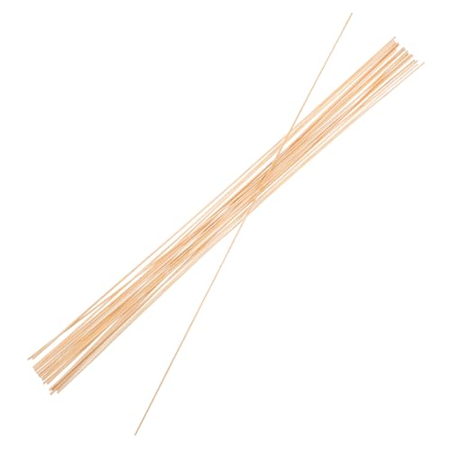Warmhm 20 Teiliges Drachen Kit Drachen Stützen Zubehör Drachen Stützstangen DIY Drachen Webmaterial Drachen Stützstäbe Drachen Reparaturdübel Vogelkäfig Rahmenstäbe Drachenbau von Warmhm