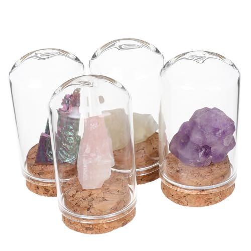 Warmhm 4 Stück Cloche Kuppel Mini Cloche Glaskuppeln Cloche Glaskuppel Glasglocke Mit Sockel Ausstellungskuppel Wissenschaftsset Für Halloween Glaskuppel Glocke Glasglocke Warmhm 4 Stück Cloche Kuppel Mini Cloche Glaskuppeln Cloche Glaskuppel Glasglocke Mit Sockel Ausstellungskuppel Wissenschaftsset Für Halloween Glaskuppel Glocke Glasglocke von Warmhm