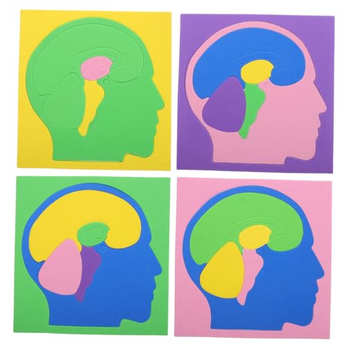 Warmhm 4 Stück Gehirnrätsel Für Gehirnmodell Gehirn Rätsel Gehirn-Puzzle Montessori-rätsel Kinderpuzzle Denksportaufgaben Rätsel Kleine Rätsel Für Erwachsene Eva Warmhm 4 Stück Gehirnrätsel Für Gehirnmodell Gehirn Rätsel Gehirn-Puzzle Montessori-rätsel Kinderpuzzle Denksportaufgaben Rätsel Kleine Rätsel Für Erwachsene Eva von Warmhm
