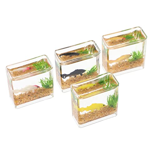 Warmhm 4 Stück Puppenhaus Bücher Fischtankmodell Miniatur-Aquarium- Winzige Dinge Miniatur-Aquarium-Handwerk Herzstück Tischdekoration Miniatur-zubehör Kleiner Fischtank Plastik von Warmhm