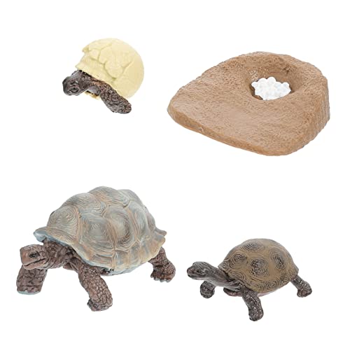 Warmhm 4 Stück Schildkröten Wachstumszyklus Spielzeug für Kinder Pädagogisches PVC Modell Realistische Tischdekoration für Vorschule und Bildung Wissenschaftliche Lernfiguren von Warmhm