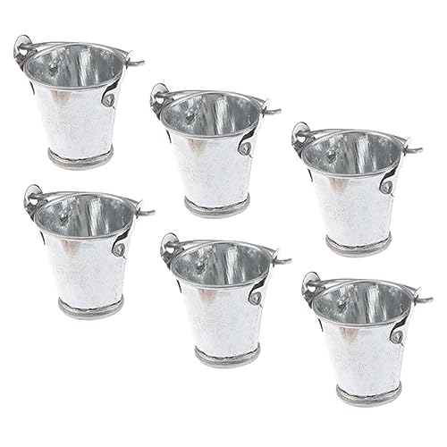 Warmhm 6 Stück Modell Mit Silbernem Eimer Sukkulenten Pflanzen Künstlich Aquarium Deckel Wassereimer Im Freien Groß Mopps Pflanzenschalen Für Töpfe Miniatur Anlage Becken Silver Metall von Warmhm