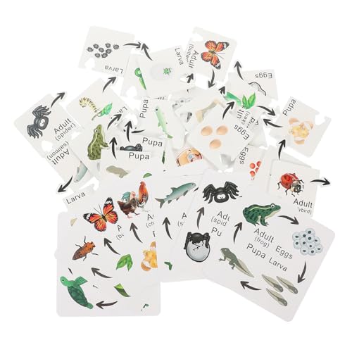Warmhm 7 Sets Insekten Kognitionsspielzeug Kleinkinder Kognitionsspielzeug Vorschul Lernpuzzles Kognitionsspielzeug Denksportaufgaben Puzzle Lebenszyklen Puzzle Kinderspiele Aus Holz von Warmhm