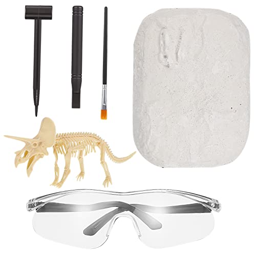 Warmhm Dinosaurier Grabungsset für Dino Skelett Fossilien mit Werkzeugen Lernspielzeug für Wissenschaft und Archäologie Fördert Kreativität und Geschicklichkeit für Jungen und Ab Jahren Warmhm Dinosaurier Grabungsset für Dino Skelett Fossilien mit Werkzeugen Lernspielzeug für Wissenschaft und Archäologie Fördert Kreativität und Geschicklichkeit für Jungen und Ab Jahren von Warmhm
