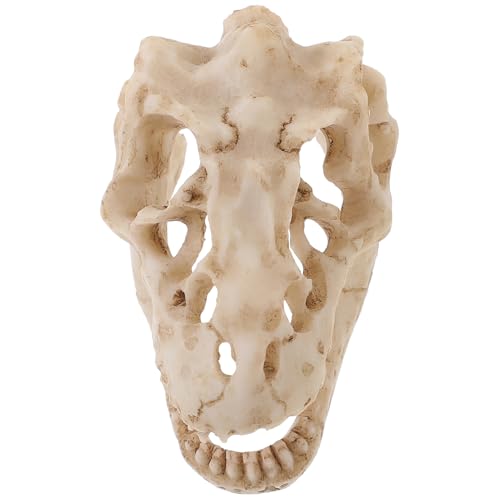 Warmhm Dinosaurierschädelmodell aus Realistisches Dinosaurier Skelett Kleiner Dekoration für Terrarien Lehrzubehör für Reptilien Kompaktes Design für Schreibtische Warmhm Dinosaurierschädelmodell aus Realistisches Dinosaurier Skelett Kleiner Dekoration für Terrarien Lehrzubehör für Reptilien Kompaktes Design für Schreibtische von Warmhm