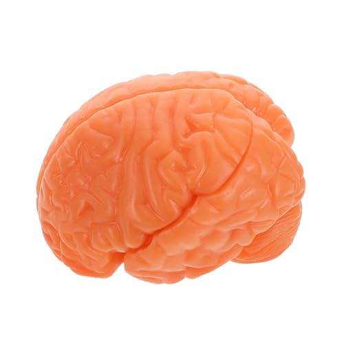 Warmhm Hirnanatomie -Lehrmodell Anzeigemodell des menschlichen Gehirns Anatomiemodell des menschlichen Gehirns Anatomisches Modell des menschlichen Gehirns Anatomie Figur PVC Kaffee Warmhm Hirnanatomie -Lehrmodell Anzeigemodell des menschlichen Gehirns Anatomiemodell des menschlichen Gehirns Anatomisches Modell des menschlichen Gehirns Anatomie Figur PVC Kaffee von Warmhm