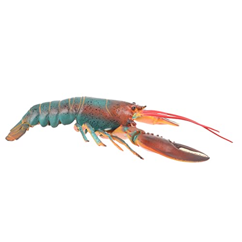 Warmhm Hummer-Simulationsmodell lebensechtes Hummermodell Simulations-Hummer- Desktop -Handwerk Spielzeugmodell Hummerfiguren Hummer Figur Kinderspielzeug in Hummerform Plastik Warmhm Hummer-Simulationsmodell lebensechtes Hummermodell Simulations-Hummer- Desktop -Handwerk Spielzeugmodell Hummerfiguren Hummer Figur Kinderspielzeug in Hummerform Plastik von Warmhm