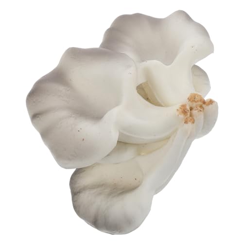 Warmhm Imitationspflanzen Pilze Pilz Garten Status Garten Pilz Moos Landschaft Pilz Falscher Pilz Pilz Hof Pilz Küchen Pu von Warmhm