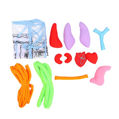 Warmhm Lehrschürze mit Modell Menschlicher Pädagogisches Lernspielzeug für Kindergärten Fördert Anatomisches über Herz Lunge Magen und Mehr Warmhm Lehrschürze mit Modell Menschlicher Pädagogisches Lernspielzeug für Kindergärten Fördert Anatomisches über Herz Lunge Magen und Mehr von Warmhm