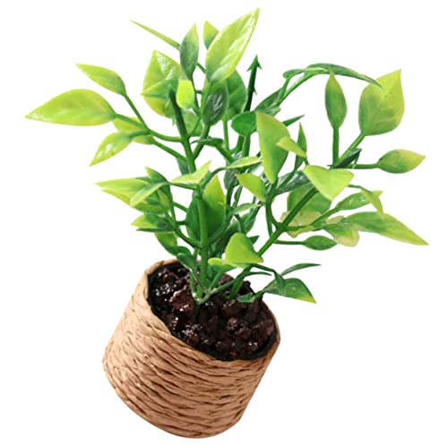 Warmhm Mini-Orangenbaum für kinderspielzeug wohnraumdeko wohnungsdeko winzig kleine Topfpflanze Mini-Blumentopf Miniatur Blumentopfmodell Plastik von Warmhm