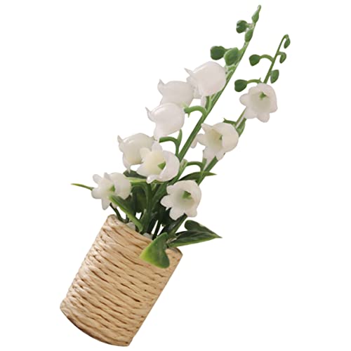 Warmhm Mini simulierte hyacinthgrüne Pflanzen Mini -Kunstpflanzen Puppenhaus Pflanzen Miniaturpflanzen Miniatur Bonsai Mini Bonsai -Töpfe Miniaturdekoration winzige Pflanzen Plastik Warmhm Mini simulierte hyacinthgrüne Pflanzen Mini -Kunstpflanzen Puppenhaus Pflanzen Miniaturpflanzen Miniatur Bonsai Mini Bonsai -Töpfe Miniaturdekoration winzige Pflanzen Plastik von Warmhm