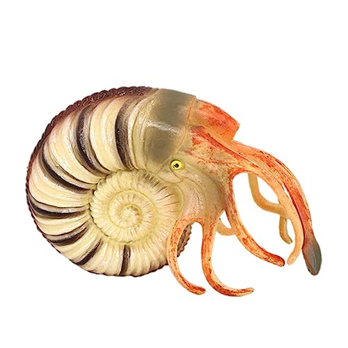 Warmhm Nautilus Modell Aus Realistisches Tiermodell Für Lernspielzeug Und Dekoration Hochwertige Verarbeitung Leicht Und Langlebig von Warmhm