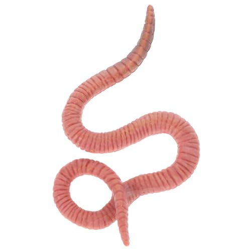 Warmhm Regenwurm Modell Gefälschte Würmer Wurm Realistisches Simulationsmodell Kleine Insektenfiguren Regenwurm Skulptur Regenwurm Erkennungsmodell Insektenfiguren Aus von Warmhm