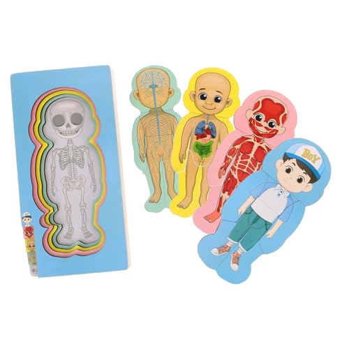 Warmhm Set Menschlicher Körperstruktur Puzzle Gehirn Puzzles Organ Modelle Gehirn Denksport Puzzles Menschlicher Körper Puzzle Für Holz von Warmhm