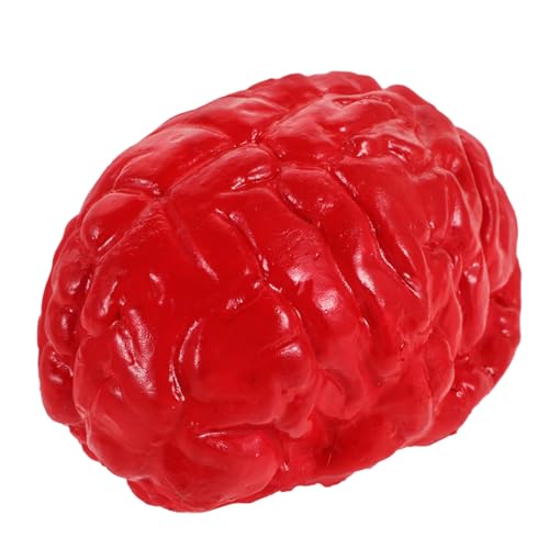 Warmhm Simulierte Gehirn Requisiten Gefälschte Gehirn Halloween Körperteile Halloween Requisiten Halloween Menschliches Gehirn Halloween Gehirn Requisiten Halloween Party Zubehör Warmhm Simulierte Gehirn Requisiten Gefälschte Gehirn Halloween Körperteile Halloween Requisiten Halloween Menschliches Gehirn Halloween Gehirn Requisiten Halloween Party Zubehör von Warmhm
