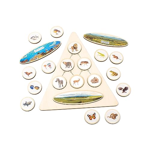 Biologic Learning Board Kinder Lebensmittelkette Kognitiver Spielzeugnahrungszyklus Unterricht Tangrams Kinderpädagogische Puzzle Bildungsform Und Objekterkennung Feine Motorische Fähigkeiten Biologic Learning Board Kinder Lebensmittelkette Kognitiver Spielzeugnahrungszyklus Unterricht Tangrams Kinderpädagogische Puzzle Bildungsform Und Objekterkennung Feine Motorische Fähigkeiten von Watreketal