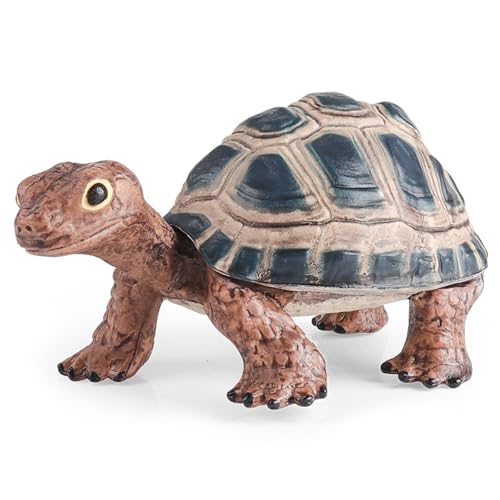 Watreketal Detaillierte Schildkrötenfigurmodell Für Bildungsanzeige Widgets Miniaturen Bildungsspielzeug Figuren Meer Tierfiguren Für Kinder von Watreketal