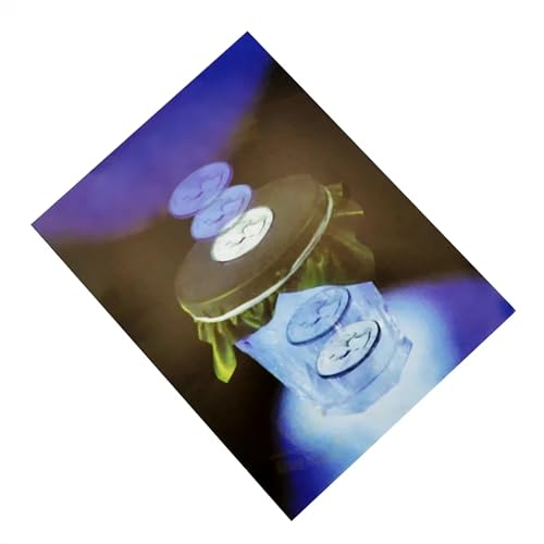 Watreketal Professionelle Münzzaubertricks Spielzeug Lustige Münzen Penetration Trick Kid Adult Tricks Spielzeug Requisite Leicht Zu Magisch Für Kinder Jungen Mädchen Erwachsene von Watreketal