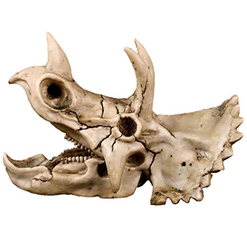 Wayfadacc Triceratops Dinosaurier Schädel Harz für Skelett Lehre Modell Hallo Wayfadacc Triceratops Dinosaurier Schädel Harz für Skelett Lehre Modell Hallo von Wayfadacc