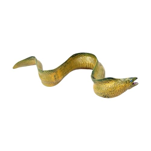 Realistische Marine Aal Figur Safe ABS Modell Für Biologie Bildung Klassenzimmer Display Und Interaktives Lernen Marine Fischmodell Figur Realistische Marine Aal Figur Safe ABS Modell Für Biologie Bildung Klassenzimmer Display Und Interaktives Lernen Marine Fischmodell Figur von Wdbild