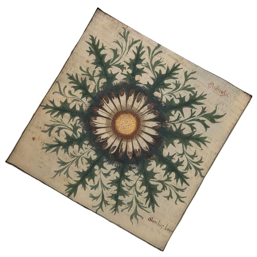 Wdbild Blumenmuster Astrologie Tischdecke Tarots Gottesdienste Altäre Stoff Göttlichkeit Brettspiel Accessoires Blumenmuster Tarotkarte Spiritueller Decktuch Wdbild Blumenmuster Astrologie Tischdecke Tarots Gottesdienste Altäre Stoff Göttlichkeit Brettspiel Accessoires Blumenmuster Tarotkarte Spiritueller Decktuch von Wdbild