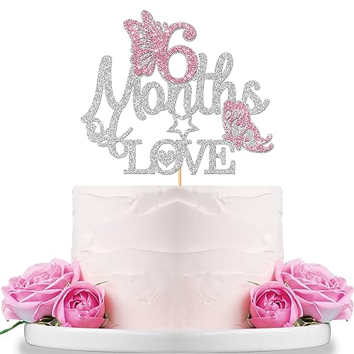 WeBenison 6 Months of Love Cake Topper for Baby Shower/Baby 6 Months Birthday/Butterfly Half Anniversary Party Decorations Supplies Silver Glitter von WeBenison