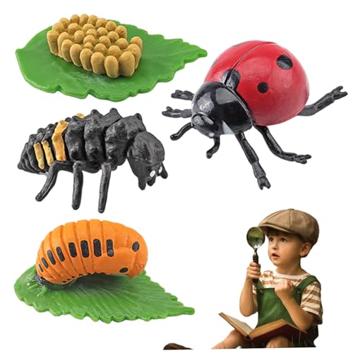 Marienkäferwachstumskit, Lebenszyklusspielzeug für Kinder, Simulation Tierfiguren, Bildungsspielzeug für Jungen, Mädchen Marienkäferwachstumskit, Lebenszyklusspielzeug für Kinder, Simulation Tierfiguren, Bildungsspielzeug für Jungen, Mädchen von Wedhapy