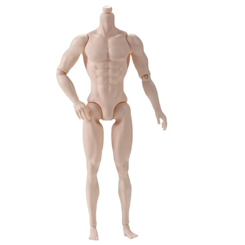 Wedhapy 1/6 Skala -Aktions -Abbildung, 6 Multi -Gelenk -Bewegungsmännchen -Muskel -Aktion -Figurenkörper für die Anzeigesammlung, Beige von Wedhapy