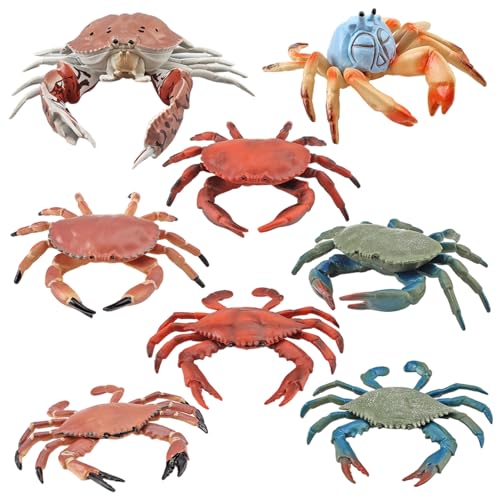Wedhapy 8pcs gefälschte Krabbenfiguren Verschiedene künstliche und realistische Krabbenspielzeug robust Wedhapy 8pcs gefälschte Krabbenfiguren Verschiedene künstliche und realistische Krabbenspielzeug robust von Wedhapy