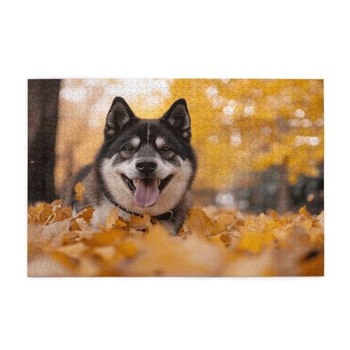 Puzzle 2000 Teile Herbst Puzzle Hund DIY Kreative Holz Jigsaws für Erwachsene mit Geschenkbox Verpackung, Impossible Herausfordernde Familie Aktivität Spiele, Deko Wohnzimmer Geschenke 99x70cm E-1698 Puzzle 2000 Teile Herbst Puzzle Hund DIY Kreative Holz Jigsaws für Erwachsene mit Geschenkbox Verpackung, Impossible Herausfordernde Familie Aktivität Spiele, Deko Wohnzimmer Geschenke 99x70cm E-1698 von Wehsaeho
