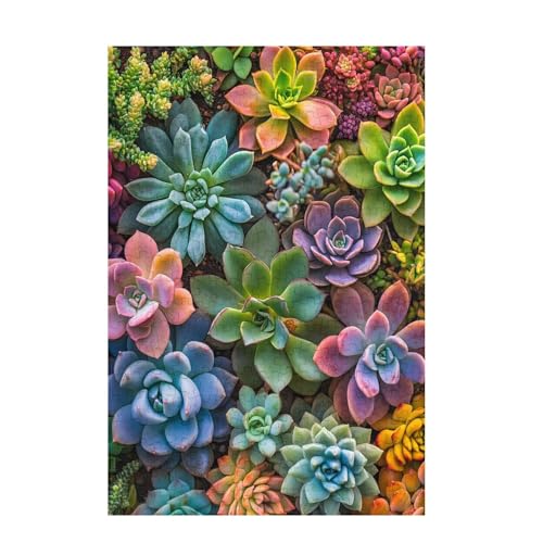 Puzzle 300 Teile Anlage Puzzle Farbe DIY Kreative Holz Jigsaws für Erwachsene mit Geschenkbox, Impossible Herausfordernde Familie Aktivität Spiele, Deko Wohnzimmer, Geschenke für Frauen 38x26cm D-932 Puzzle 300 Teile Anlage Puzzle Farbe DIY Kreative Holz Jigsaws für Erwachsene mit Geschenkbox, Impossible Herausfordernde Familie Aktivität Spiele, Deko Wohnzimmer, Geschenke für Frauen 38x26cm D-932 von Wehsaeho
