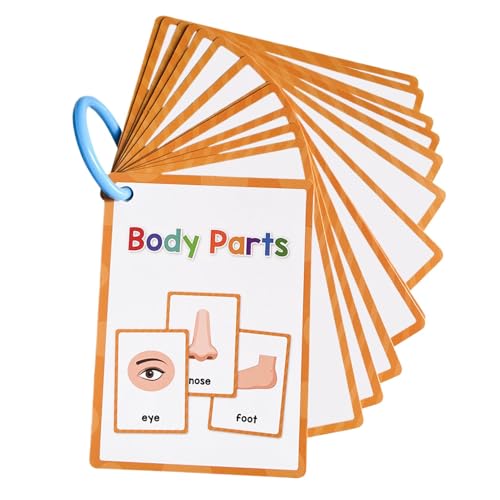 Weldphur Karteikarten zum Lernen von Körperteilen,Karten zum Lernen von Körperteilen | Englische Karteikarte Körperteile Taschenkarte,Vokabel-Wörter-Flashcard, pädagogisches Lern-Flashcard für Weldphur Karteikarten zum Lernen von Körperteilen,Karten zum Lernen von Körperteilen | Englische Karteikarte Körperteile Taschenkarte,Vokabel-Wörter-Flashcard, pädagogisches Lern-Flashcard für von Weldphur
