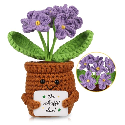 WenmthG Mutmacher Geschenk Gestrickte Lila Blumenpuppe für Kollege Freund Kleiner Glücksbringer Prüfung, Gute Besserung Geschenke, Ermutigung Geschenke Positive Kartoffel Deutsch Ersatz WenmthG Mutmacher Geschenk Gestrickte Lila Blumenpuppe für Kollege Freund Kleiner Glücksbringer Prüfung, Gute Besserung Geschenke, Ermutigung Geschenke Positive Kartoffel Deutsch Ersatz von WenmthG