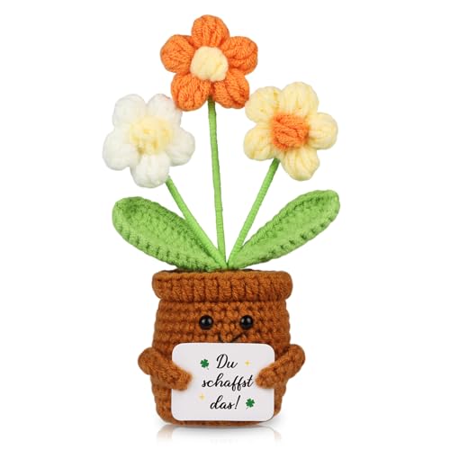 WenmthG Mutmacher Geschenk Gestrickte Mehrfarbige Blumenpuppe für Kollege Freund Kleiner Glücksbringer Prüfung, Gute Besserung Geschenke, Ermutigung Geschenke Positive Kartoffel Deutsch Ersatz von WenmthG