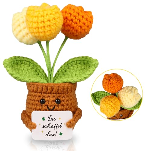 WenmthG Mutmacher Geschenk Gestrickte Tulpenpuppe Blumenpuppe für Kollege Freund Kleiner Glücksbringer Prüfung, Gute Besserung Geschenke, Ermutigung Geschenke Positive Kartoffel Deutsch Ersatz WenmthG Mutmacher Geschenk Gestrickte Tulpenpuppe Blumenpuppe für Kollege Freund Kleiner Glücksbringer Prüfung, Gute Besserung Geschenke, Ermutigung Geschenke Positive Kartoffel Deutsch Ersatz von WenmthG