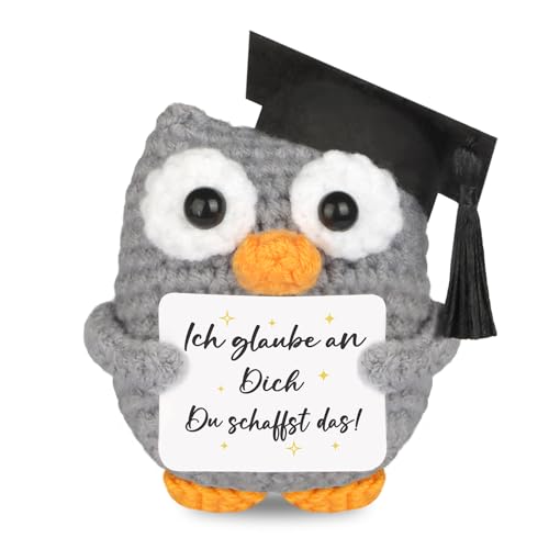 WenmthG Gestrickte Eule Positive Geschenke, Pocket Hug Eule Positive Kartoffel Ersatz, Mutmacher Geschenk, Gute Besserung Geschenk, Glücksbringer Prüfung Geschenk - Eule Puppe 1 St WenmthG Gestrickte Eule Positive Geschenke, Pocket Hug Eule Positive Kartoffel Ersatz, Mutmacher Geschenk, Gute Besserung Geschenk, Glücksbringer Prüfung Geschenk - Eule Puppe 1 St von WenmthG