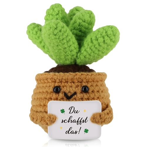WenmthG Positive Sukkulente Ermutigung Geschenke Glücksbringer Prüfung, Gestrickte Sonnenblume Puppe Gute Besserung Geschenke, Mutmacher Geschenk Positive Kartoffel Deutsch Ersatz WenmthG Positive Sukkulente Ermutigung Geschenke Glücksbringer Prüfung, Gestrickte Sonnenblume Puppe Gute Besserung Geschenke, Mutmacher Geschenk Positive Kartoffel Deutsch Ersatz von WenmthG
