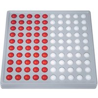 SCHUBI Abaco 100. Modell B 5/5 Kugeln (rot/weiß) von Westermann Lernwelten