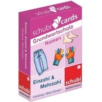 Schubicards. Pluralformen 1 von Westermann Lernwelten